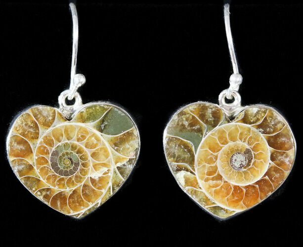 Fossil Ammonite Earrings - Sterling Silver #48739